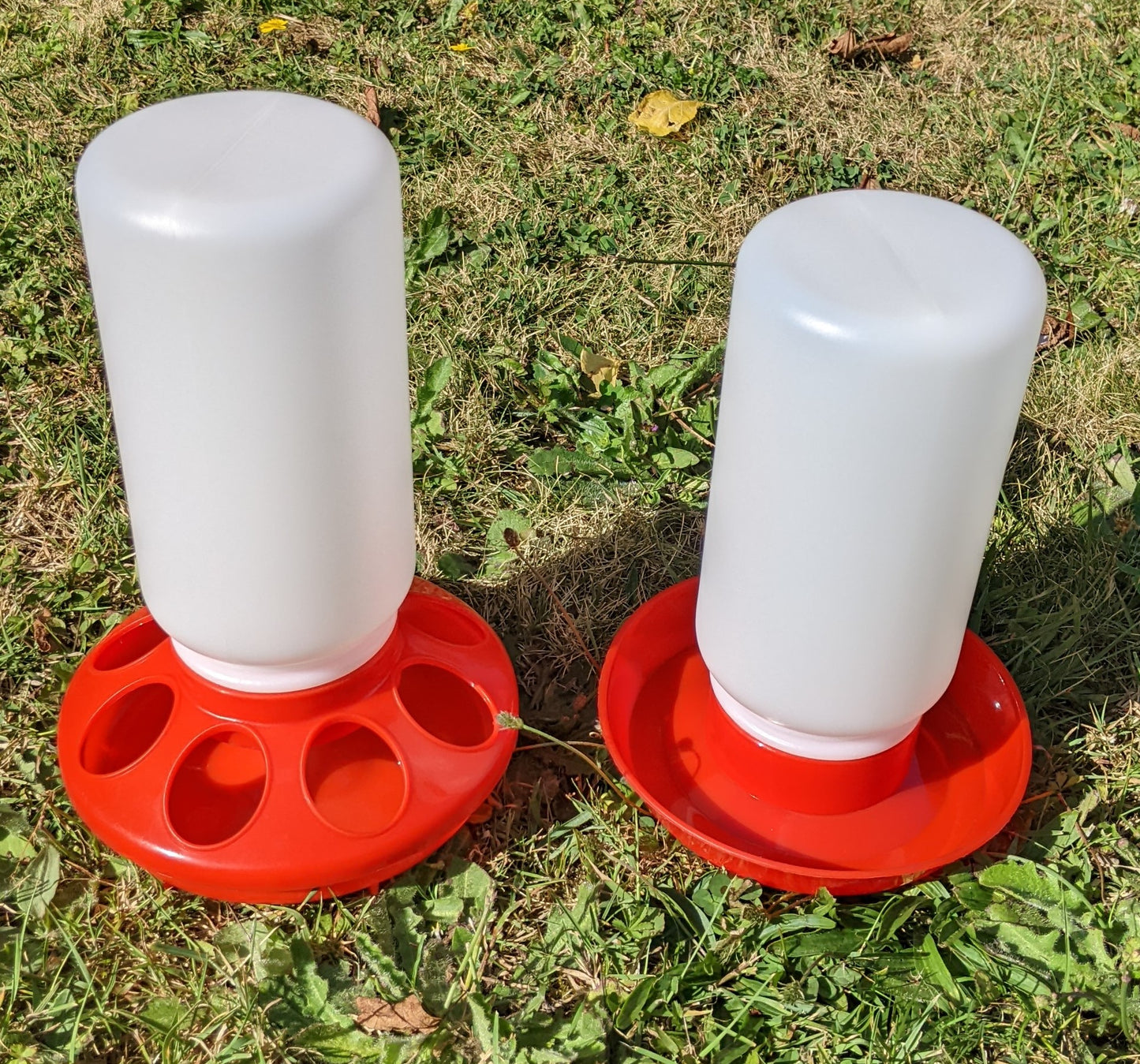 Jar Poultry / Chicken Feeder or Drinker
