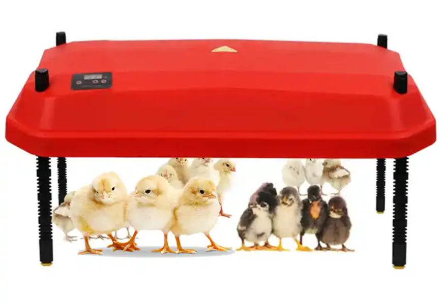Large Brooder Heating Plate (42W 40.7cmx40.7cm)