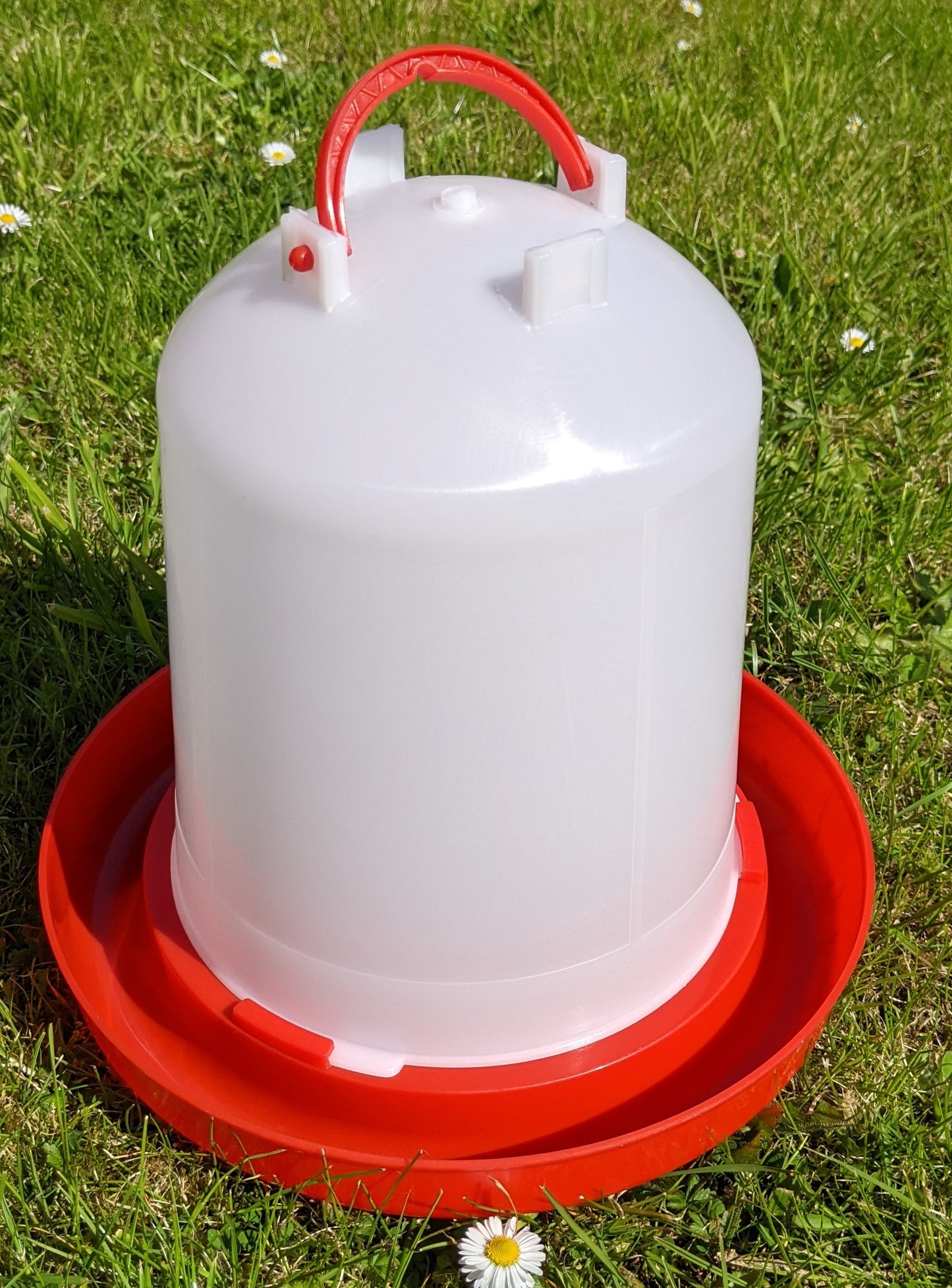 3 Litre Poultry /Chicken Drinker