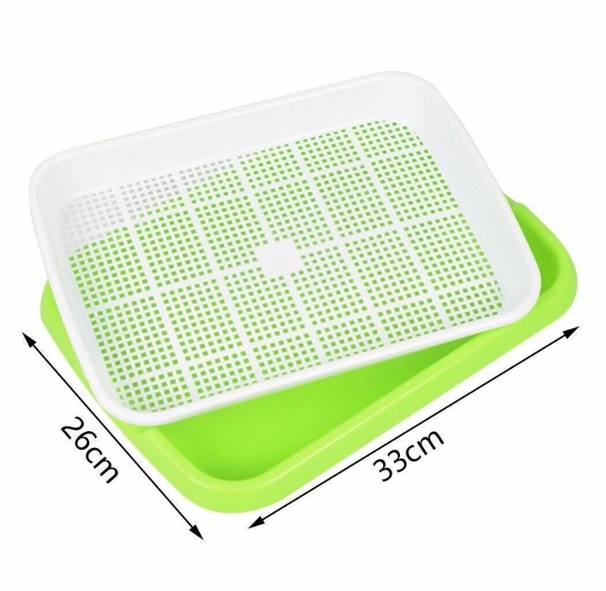 Microgreens Seedling Tray Sprouts Hydroponics Germinator Sprouter with Lid