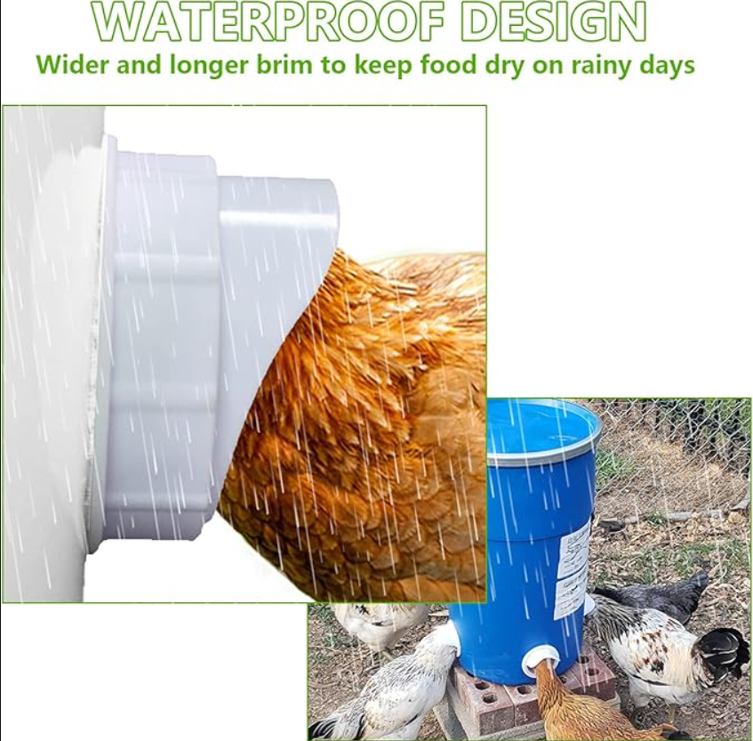 DIY Poultry Feeder Port