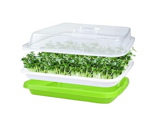 Microgreens Seedling Tray Sprouts Hydroponics Germinator Sprouter with Lid