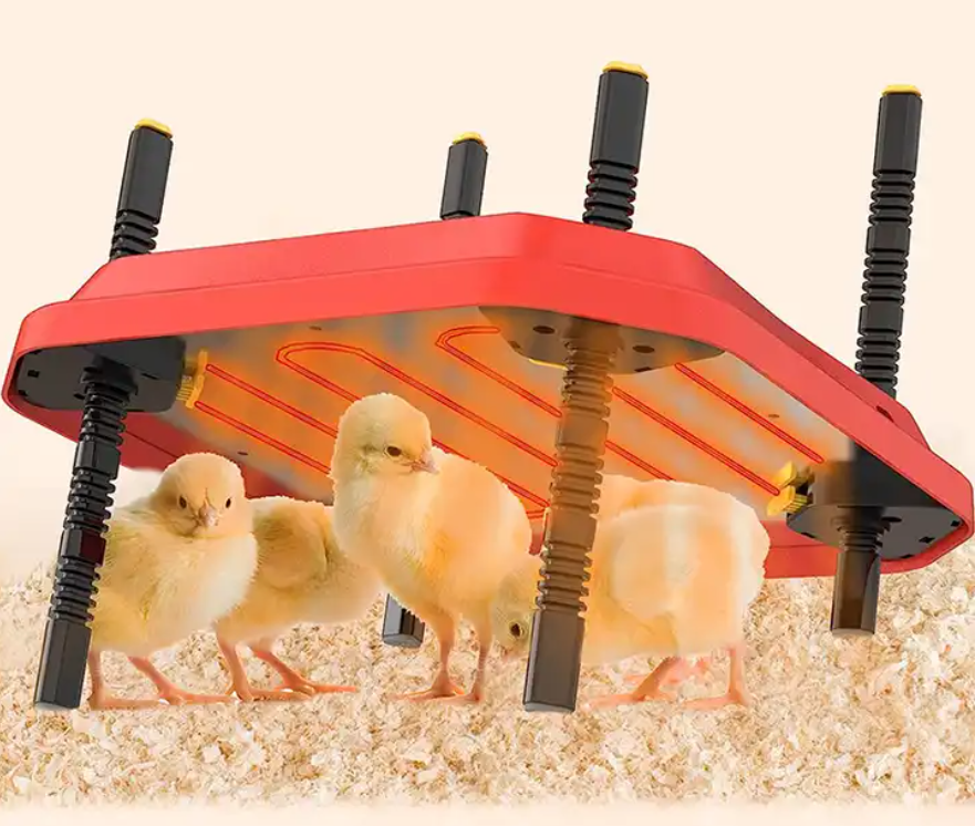 Medium Brooder Heating Plate (22W 30.5cmx30.5cm)