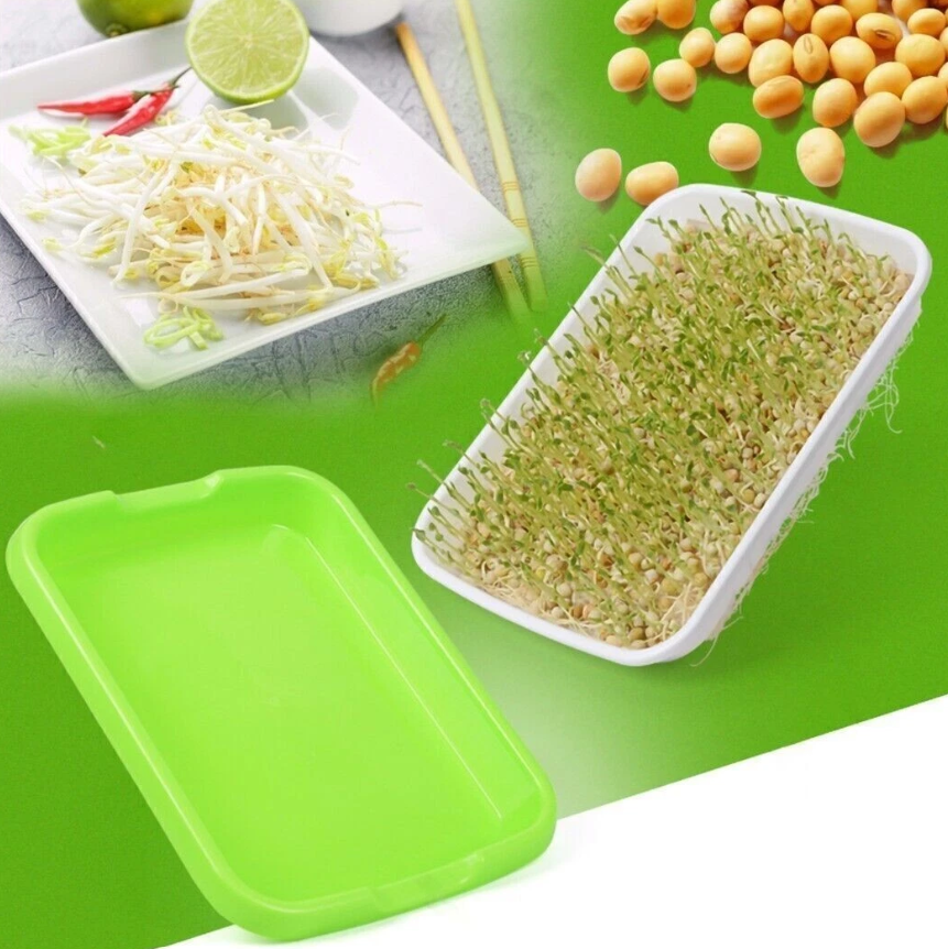 Microgreens Seedling Tray Sprouts Hydroponics Germinator Sprouter with Lid