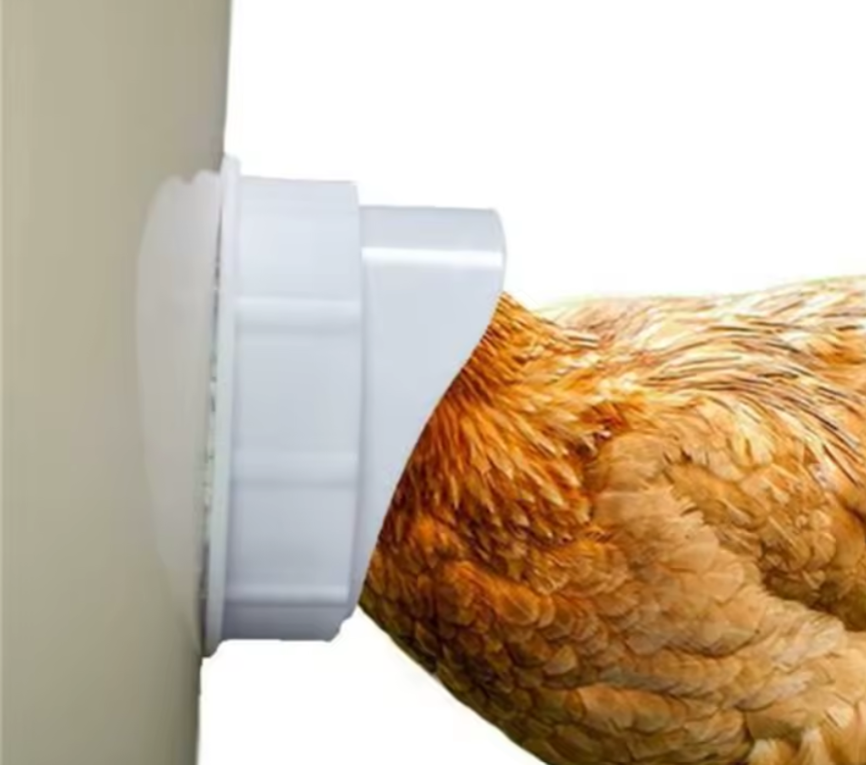 DIY Poultry Feeder Port