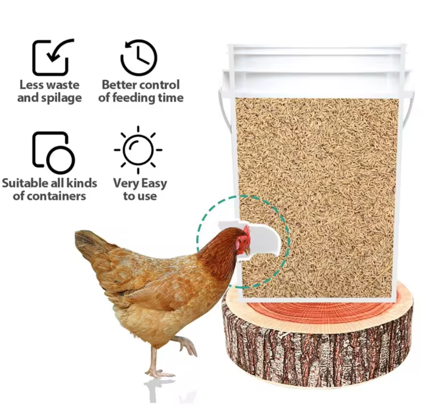 DIY Poultry Feeder Port