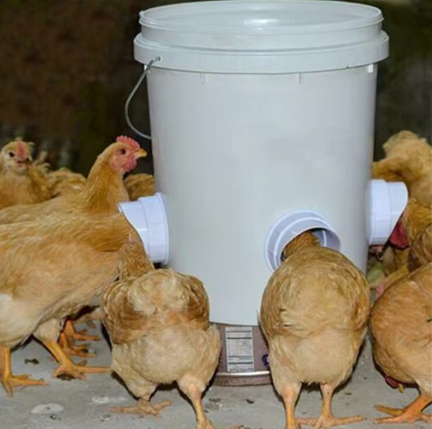 DIY Poultry Feeder Port