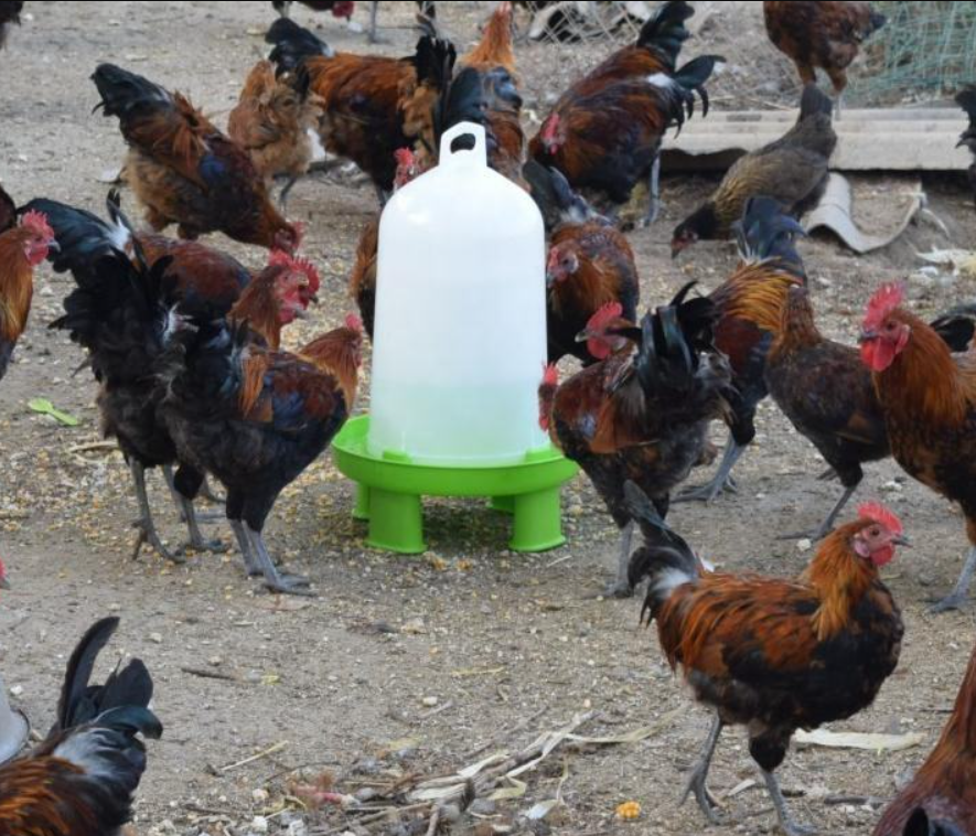 Poultry Large Green Double Cylinder Drinkers 8L/10L/12L
