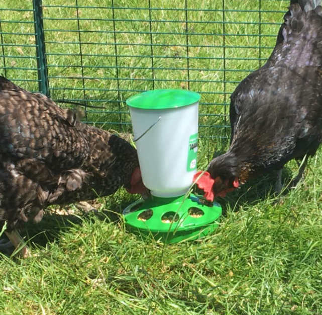 Bucket Foldable Legs Poultry / Chicken 1.5kg Feeder or 1.5 litre Drinker (single or pair options)