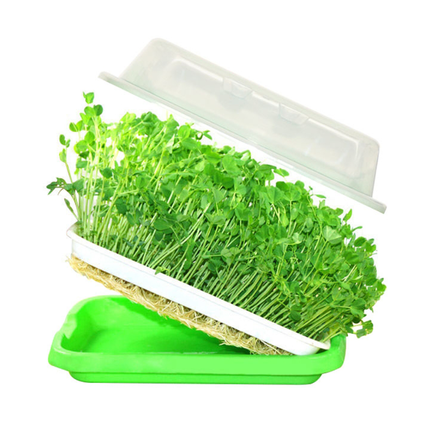 Microgreens Seedling Tray Sprouts Hydroponics Germinator Sprouter with Lid