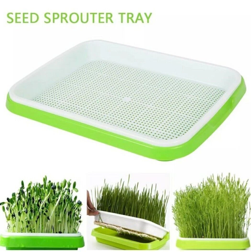Microgreens Seedling Tray Sprouts Hydroponics Germinator Sprouter with Lid