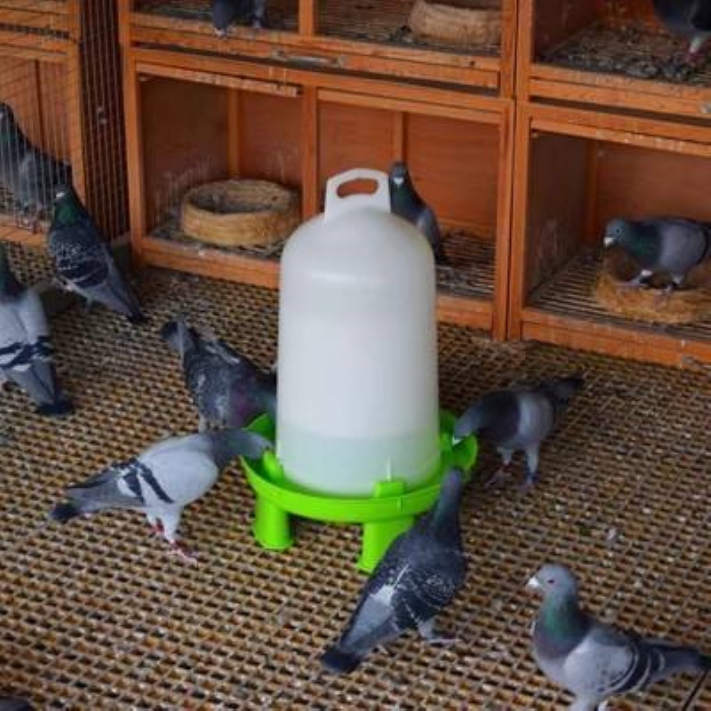 Poultry Large Green Double Cylinder Drinkers 8L/10L/12L