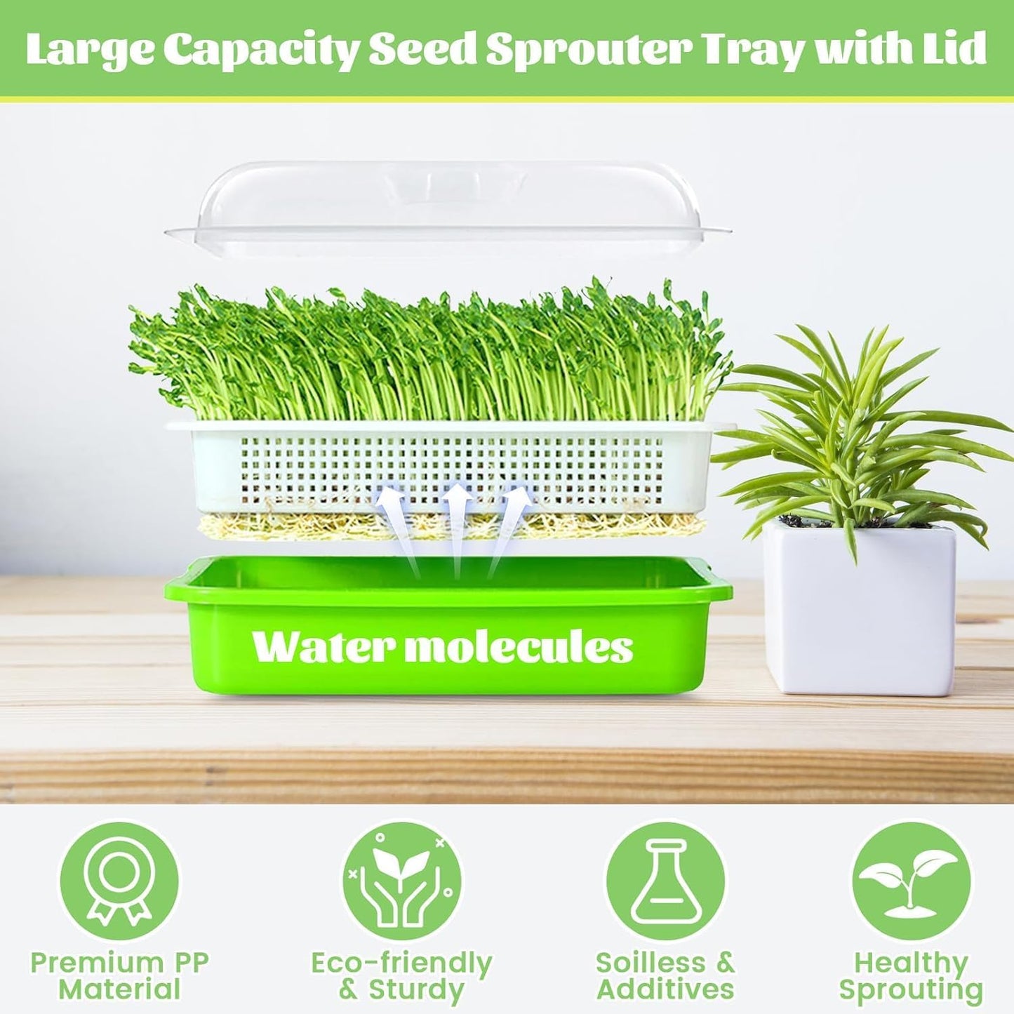 Microgreens Seedling Tray Sprouts Hydroponics Germinator Sprouter with Lid